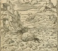 An illustration from Diverse imprese accommodate a diuerse moralità : con versi che i loro significati dichiarano insieme con molte altre nella lingua italiana non piu tradotte (1564)