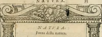 Picture 175 of 362 from Diverse imprese accommodate a diuerse moralità : con versi che i loro significati dichiarano insieme con molte altre nella lingua italiana non piu tradotte (1564), leaf 98