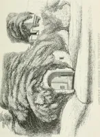 Picture 119 of 164 from Some account of domestic architecture in England from Edward I to Richard II, with notices of foreign examples and numerous illustrations of existing remains from original drawings (1882), leaf 360