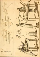 An illustration from An account of the late improvements in galvanism : with a series of curious and interesting experiments performed before the commissioners of the French National Institute, and repeated lately in the anatomical theatres of London (1803)