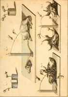 Picture 4 of 9 from An account of the late improvements in galvanism : with a series of curious and interesting experiments performed before the commissioners of the French National Institute, and repeated lately in the anatomical theatres of London (1803), leaf 244