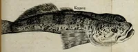 An illustration from An account of several travels through a great part of Germany : in four journeys ... : wherein the mines, baths, and other curiosities of those parts are treated of : illustrated with sculptures (1677)