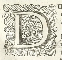 An illustration from An account of several travels through a great part of Germany : in four journeys ... : wherein the mines, baths, and other curiosities of those parts are treated of : illustrated with sculptures (1677)