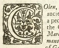 An illustration from An account of several travels through a great part of Germany : in four journeys ... : wherein the mines, baths, and other curiosities of those parts are treated of : illustrated with sculptures (1677)