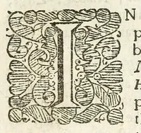 An illustration from An account of several travels through a great part of Germany : in four journeys ... : wherein the mines, baths, and other curiosities of those parts are treated of : illustrated with sculptures (1677)