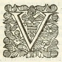 An illustration from An account of several travels through a great part of Germany : in four journeys ... : wherein the mines, baths, and other curiosities of those parts are treated of : illustrated with sculptures (1677)