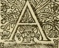 Picture 12 of 14 from An account of some of the statues, bas-reliefs, drawings and pictures in Italy, &c with remarks (1722), leaf 151