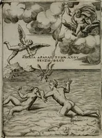 Picture 91 of 153 from Achillis Bocchii Bonon. Symbolicarum quaestionum, de vniuerso genere, quas serio ludebat, libri quinque (1574), leaf 239