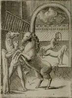 Picture 119 of 153 from Achillis Bocchii Bonon. Symbolicarum quaestionum, de vniuerso genere, quas serio ludebat, libri quinque (1574), leaf 297