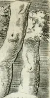 Picture 85 of 165 from Achillis Bocchii bonon. Symbolicarvm qvaestionvm de vniuerso genere, quas serio ludebat, libri qvinqve (1574), leaf 225