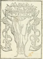 Picture 4 of 165 from Achillis Bocchii bonon. Symbolicarvm qvaestionvm de vniuerso genere, quas serio ludebat, libri qvinqve (1574), leaf 55