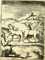 An illustration from Achillis Bocchii Bonon. Symbolicarvm qvaestionvm, de vniverso genere, quas serio ludebat, libri qvinqve (1574)