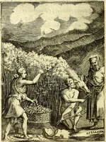 An illustration from Achillis Bocchii Bonon. Symbolicarvm qvaestionvm, de vniverso genere, quas serio ludebat, libri qvinqve (1574)