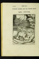 Picture 19 of 68 from Achillis Bocchii Bonon. Symbolicarvm qvaestionvm, de vniverso genere, quas serio ludebat, libri qvinqve (1574), leaf 134
