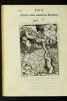 An illustration from Achillis Bocchii Bonon. Symbolicarvm qvaestionvm, de vniverso genere, quas serio ludebat, libri qvinqve (1574)