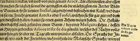 An illustration from Achter Theil der Orientalischen Indien, : begreiffend erstlich ein historische Beschreibung der Schiffart, so der Admiral Jacob von Neck auss Hollandt in die Orientalische Indien von Ann. 1600. biss An. 1603. gethan. Darnach ein historia, so von Johan Herman von Bree, Obersten Handelsmann auff dem Schiff der Hollandische Zaun genannt, in gleichmessiger Reyse von An. 1602. biss in An. 1604. auff gezeichnet worden. (1606)