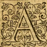 An illustration from [A collection of entrees : of declarations, barres, replications, reioinders, issues, verdits, judgements, executions, proces, continuances, essoines and diuers other matters : newly amended and much enlarged with many good presidents of latter time ... : and first an epistle, with certaine instructions necessary to be read for the redy finding of the matters in this booke] (1596)