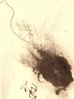 An illustration from A commentarie of Master Doctor Martin Luther vpon the Epistle of S. Paul to the Galathians. First collected and gathered word by word out of his preaching, and now out of Latine faithfully translated into English for the unlearned (1644)