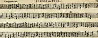 An illustration from [A composite music volume : containing Der Fluyten Lust-Hof, vol Psalmen, Paduanen, Allemanden, Couranten, Balletten, Airs, &c. konstigh en lieflik gefigureert, met veel veranderingen and 'T uitnemed kabinet, vol Pavanen, Almanden, Sarbanden, Couranten, Balletten, Intraden, Airs, &c. en de nieuwste voizen, om met 2 en 3 fioolen, of ander speel-tuigh te gebruiken] (1649)