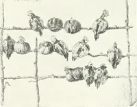 An illustration from Acquafortisti italiani; reccolta di acqueforti, acquetine, puntesecche, maniera nera, di 150 artisti. Acquafortistes italiens; recueil de eauxfortes, acqua-tintas, pointes-sèches, façon noire, de 150 artistes (1922)