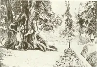 An illustration from Acquafortisti italiani; reccolta di acqueforti, acquetine, puntesecche, maniera nera, di 150 artisti. Acquafortistes italiens; recueil de eauxfortes, acqua-tintas, pointes-sèches, façon noire, de 150 artistes (1922)