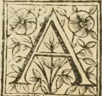 Picture 9 of 9 from Acta canonizationis S. Petri de Alcantara et S. Mariae Magdalenae de Pazzis (1669), leaf 382