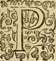 Picture 3 of 5 from Acta Synodi nationalis, in nomine Domini nostri Iesu Christi .. (1620), leaf 14