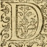 Picture 5 of 5 from Acta Synodi nationalis, in nomine Domini nostri Iesu Christi .. (1620), leaf 408