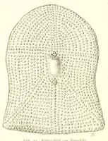 Picture 3 of 17 from Adamaua. Bericht über die Expedition des Deutschen Kamerun-Komitees in den Jahren 1893/94 (1895), leaf 104