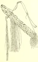 An illustration from Adamaua. Bericht über die Expedition des Deutschen Kamerun-Komitees in den Jahren 1893/94 (1895)