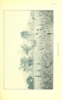 An illustration from Adamaua. Bericht über die Expedition des Deutschen Kamerun-Komitees in den Jahren 1893/94 (1895)