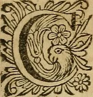 An illustration from Adenographia : sive glandularum totius corporis descriptio (1659)