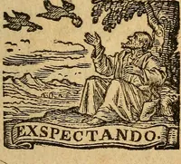 Picture 1 of 8 from Adenographia : sive glandularum totius corporis descriptio (1659), leaf 6