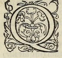 An illustration from Ad Franc. Hotomani Franco-Galliam Antonii Matharelli ... responsio : in qua agitur de initio Regni Fra[n]ciae, successione regum, publicis negotiis, & politia, ex fide Annalium nostrorum, Germaniaeque, & aliarum gentium, Graecísque & Latinis scriptoribus. (1575)