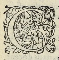 An illustration from Ad Franc. Hotomani Franco-Galliam Antonii Matharelli ... responsio : in qua agitur de initio Regni Fra[n]ciae, successione regum, publicis negotiis, & politia, ex fide Annalium nostrorum, Germaniaeque, & aliarum gentium, Graecísque & Latinis scriptoribus. (1575)