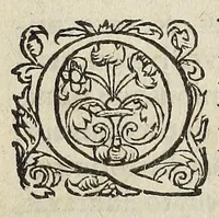 Picture 4 of 13 from Ad Franc. Hotomani Franco-Galliam Antonii Matharelli ... responsio : in qua agitur de initio Regni Fra[n]ciae, successione regum, publicis negotiis, & politia, ex fide Annalium nostrorum, Germaniaeque, & aliarum gentium, Graecísque & Latinis scriptoribus. (1575), leaf 22