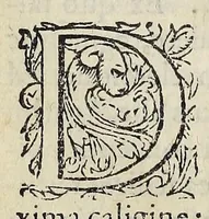 Picture 6 of 13 from Ad Franc. Hotomani Franco-Galliam Antonii Matharelli ... responsio : in qua agitur de initio Regni Fra[n]ciae, successione regum, publicis negotiis, & politia, ex fide Annalium nostrorum, Germaniaeque, & aliarum gentium, Graecísque & Latinis scriptoribus. (1575), leaf 56