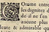 An illustration from Admirable et prodigieuse mort de Henry de Valoys. (1589)