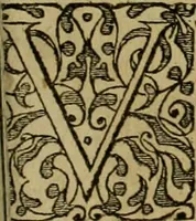 An illustration from Admiranda narratio fida tamen, de commodis et incolarvm ritibvs Virginiæ : nvper admodvm ab Anglis, qvi à Dn. Richardo Greinvile equestris ordinis viro eò in coloniam anno M.D. LXXXV. dedvcti svnt inventæ, svmtus faciente Dn. VValtero Raleigh equestris ordinis viro fodinarv stanni præfecto ex avctoritate serenissimæ reginæ Angliæ (1590)