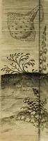 An illustration from Admiranda narratio fida tamen, de commodis et incolarvm ritibvs Virginiæ : nvper admodvm ab Anglis, qvi à Dn. Richardo Greinvile equestris ordinis viro eò in coloniam anno M.D. LXXXV. dedvcti svnt inventæ, svmtus faciente Dn. VValtero Raleigh equestris ordinis viro fodinarv stanni præfecto ex avctoritate serenissimæ reginæ Angliæ (1590)