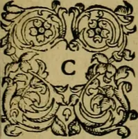An illustration from Admiranda narratio fida tamen, de commodis et incolarvm ritibvs Virginiæ : nvper admodvm ab Anglis, qvi à Dn. Richardo Greinvile equestris ordinis viro eò in coloniam anno M.D. LXXXV. dedvcti svnt inventæ, svmtus faciente Dn. VValtero Raleigh equestris ordinis viro fodinarv stanni præfecto ex avctoritate serenissimæ reginæ Angliæ (1590)