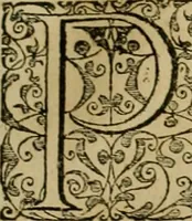 An illustration from Admiranda narratio fida tamen, de commodis et incolarvm ritibvs Virginiæ : nvper admodvm ab Anglis, qvi à Dn. Richardo Greinvile equestris ordinis viro eò in coloniam anno M.D. LXXXV. dedvcti svnt inventæ, svmtus faciente Dn. VValtero Raleigh equestris ordinis viro fodinarv stanni præfecto ex avctoritate serenissimæ reginæ Angliæ (1590)