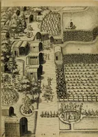 An illustration from Admiranda narratio fida tamen, de commodis et incolarvm ritibvs Virginiæ : nvper admodvm ab Anglis, qvi à Dn. Richardo Greinvile equestris ordinis viro eò in coloniam anno M.D. LXXXV. dedvcti svnt inventæ, svmtus faciente Dn. VValtero Raleigh equestris ordinis viro fodinarv stanni præfecto ex avctoritate serenissimæ reginæ Angliæ (1590)
