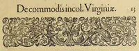 Picture 3 of 27 from Admiranda narratio fida tamen, de commodis et incolarum ritibus Virginiae, nuper admodum ab Anglis, qui à Dn. Richardo Greinvile equestris ordinis viro eò in coloniam anno M.D.LXXXV. : Deducti sunt inuentae, sumtus faciente Dn. VValtero Raleigh equestris ordinis viro fodinaru[m] stanni praefecto ex auctoritate serenissimae Reginae Angliae. (1590), leaf 19