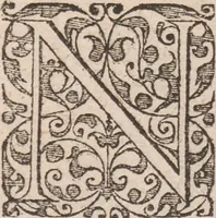 An illustration from Admiranda narratio, fida tamen, de commodis et incolarvm ritibvs Virginiae ... Anglico scripta sermone à Thoma Hariot ... nvnc avtem primvm Latio donata à C.C.A (1608)