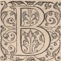 An illustration from Admiranda narratio, fida tamen, de commodis et incolarvm ritibvs Virginiae ... Anglico scripta sermone à Thoma Hariot ... nvnc avtem primvm Latio donata à C.C.A (1608)