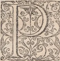 An illustration from Admiranda narratio, fida tamen, de commodis et incolarvm ritibvs Virginiae ... Anglico scripta sermone à Thoma Hariot ... nvnc avtem primvm Latio donata à C.C.A (1608)