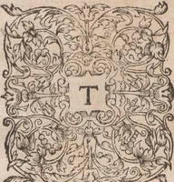 Picture 15 of 92 from Admiranda narratio, fida tamen, de commodis et incolarvm ritibvs Virginiae ... Anglico scripta sermone à Thoma Hariot ... nvnc avtem primvm Latio donata à C.C.A (1608), leaf 40