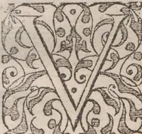 Picture 32 of 92 from Admiranda narratio, fida tamen, de commodis et incolarvm ritibvs Virginiae ... Anglico scripta sermone à Thoma Hariot ... nvnc avtem primvm Latio donata à C.C.A (1608), leaf 43