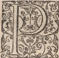 Picture 34 of 92 from Admiranda narratio, fida tamen, de commodis et incolarvm ritibvs Virginiae ... Anglico scripta sermone à Thoma Hariot ... nvnc avtem primvm Latio donata à C.C.A (1608), leaf 45